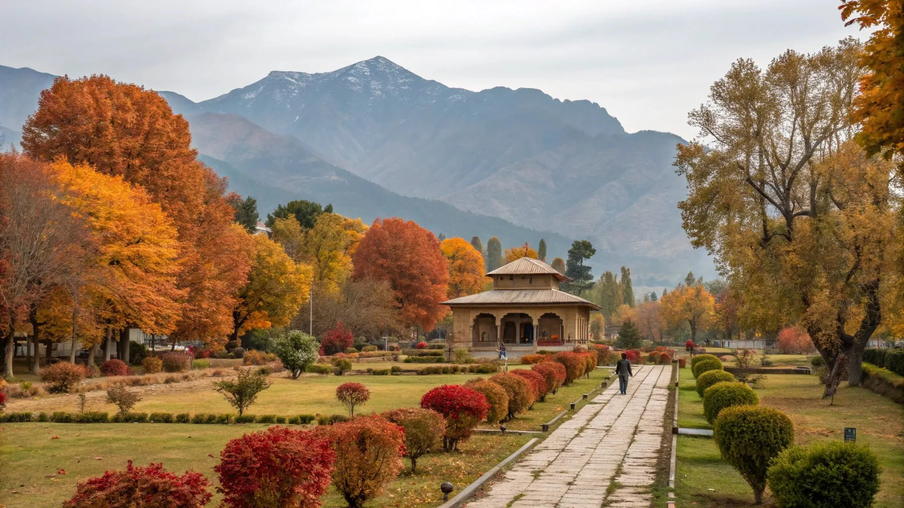 Autumn Chinars